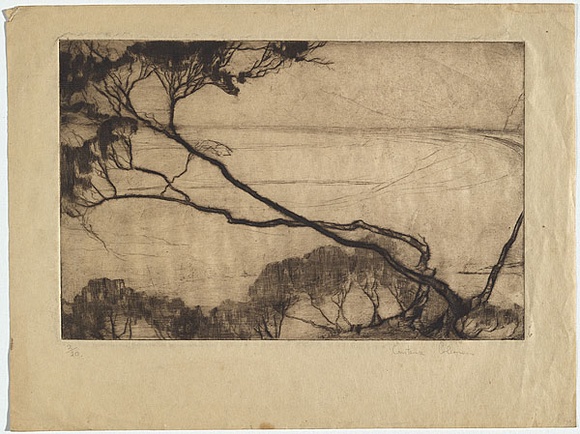 Artist: b'Coleman, Constance.' | Title: b'(Tree and bay).' | Date: (1938) | Technique: b'drypoint, printed in brown ink with plate-tone, from one plate'