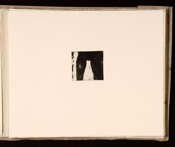 Artist: b'Mann, Gillian.' | Title: b'(Female legs).' | Date: 1981 | Technique: b'etching, printed in black ink, from one plate'