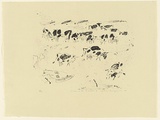 Artist: MACQUEEN, Mary | Title: Cows in the meadow 2 | Date: 1980 | Technique: lithograph, printed in colour, from multiple plates; in black and purple ink | Copyright: Courtesy Paulette Calhoun, for the estate of Mary Macqueen