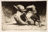 Artist: LONG, Sydney | Title: Young Kookaburras | Date: 1925 | Technique: line-etching and drypoint, printed in dark brown ink, from one copper plate | Copyright: Reproduced with the kind permission of the Ophthalmic Research Institute of Australia