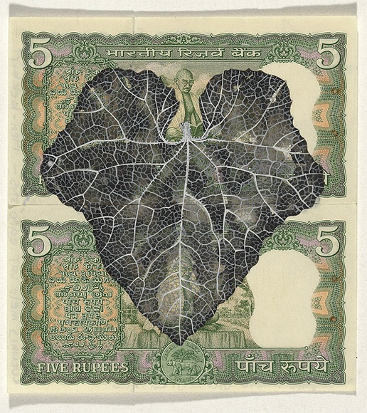 Artist: b'HALL, Fiona' | Title: b'Cucumis melo var. agrestis - Heln kekkiri (Indian currency)' | Date: 2000 - 2002 | Technique: b'gouache' | Copyright: b'\xc2\xa9 Fiona Hall'