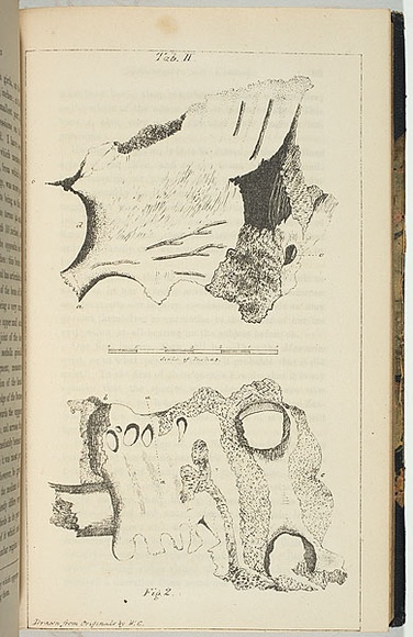 Title: b'not titled [two bone fragments].' | Date: 1846 | Technique: b'lithograph, printed in black ink, from one stone'