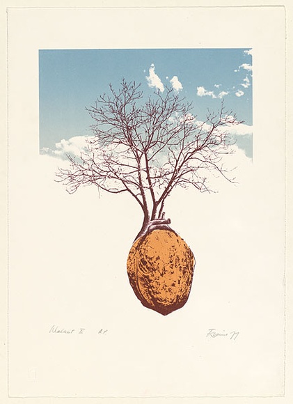 Artist: EWINS, Rod | Title: Walnut 2. | Date: 1976 | Technique: photo-lithograph, printed offset, from one zinc plate