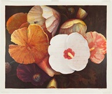 Artist: Maguire, Tim. | Title: Hollyhocks | Date: 1991, June-July | Technique: lithograph, printed in colour, from eight aluminium plates | Copyright: © Tim Maguire