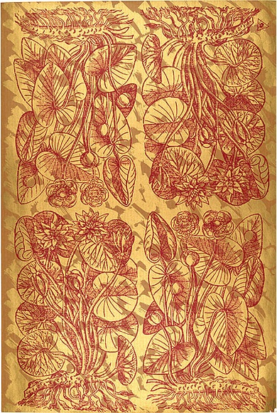 Artist: b'REDBACK GRAPHIX' | Title: b'Wrapping paper: Gold' | Date: 1986 | Technique: b'screenprint, printed in colour, from three stencils'