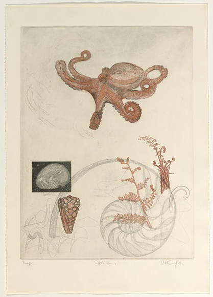 Artist: b'GRIFFITH, Pamela' | Title: b'Helices' | Date: 1979 | Technique: b'etching, aquatint, soft ground with roulette printed in colour from two zinc plates' | Copyright: b'\xc2\xa9 Pamela Griffith'