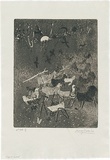 Artist: WALKER, Murray | Title: Sheep at Kallista. | Date: 1966 | Technique: etching and aquatint, printed in black ink, from one plate