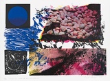 Artist: MEYER, Bill | Title: Increase and pervade the earth and subdue it | Date: 1975 | Technique: screenprint, printed in eight colours, from ten screens (indirect photo-stencils and direct hand-cut) | Copyright: © Bill Meyer