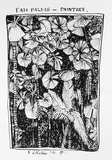 Artist: b'Gilfedder, F.' | Title: b'Fan palms - Daintree' | Date: 1991 | Technique: b'screenprint, printed in black ink, from one stencil'