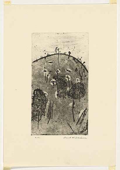 Artist: b'WILLIAMS, Fred' | Title: b'Hillock, Lysterfield' | Date: 1965-66 | Technique: b'etching, aquatint, sugar aquatint and drypoint, printed in black ink, from one copper plate' | Copyright: b'\xc2\xa9 Fred Williams Estate'