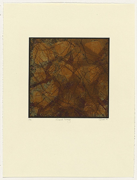 Artist: b'Kean, Roslyn' | Title: b'Sacred passage' | Date: 1992 | Technique: b'screenprint, printed in seven colours, from multiple stencils'