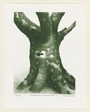 Artist: b'Russell,, Deborah.' | Title: b'Great moments in Arboreal history II' | Date: 1999, November | Technique: b'lithograph, printed in green ink, from one plate'