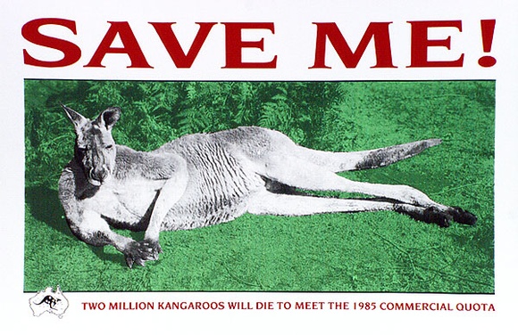 Artist: b'Praxis Poster Workshop.' | Title: b'Save me! Two million kangaroos will die to meet the 1985 commercial quote' | Date: 1985 | Technique: b'screenprint, printed in colour, from three stencils'