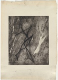Artist: Nolan, Sidney. | Title: (Fish, person forms) | Date: 1958 | Technique: drypoint, deep etch and aquatint, printed in black ink, from one plate