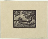 Artist: b'LINDSAY, Lionel' | Title: b'The Golden Pheasant' | Date: 1922 | Technique: b'wood-engraving, printed in black ink, from one block' | Copyright: b'Courtesy of the National Library of Australia'