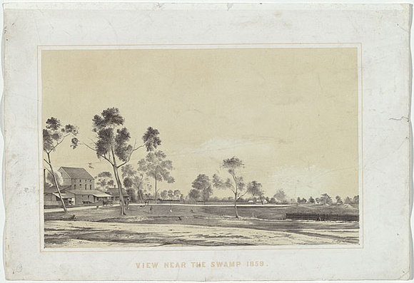 Artist: b'Cogne, Francois.' | Title: b'View near the swamp 1859.' | Date: c.1859 | Technique: b'lithograph, printed in colour, from two stones (black image, cream tint-stone)'