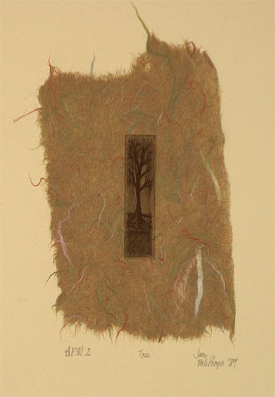Artist: b'Palethorpe, Jan' | Title: b'Tree' | Date: 1989 | Technique: b'etching, printed in black ink, from one plate'