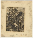 Artist: Claux, Eugene. | Title: (View of Terrace house backyards, Sydney). | Date: 1946 | Technique: etching and aquatint, printed in black ink with plate-tone, from one copper plate