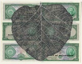 Artist: HALL, Fiona | Title: Erythrina latissima - Cork tree (Mozambican currency) | Date: 2000 - 2002 | Technique: gouache | Copyright: © Fiona Hall