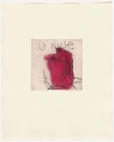 Artist: b'Headlam, Kristin.' | Title: b'Oh Rose I' | Date: 1997 | Technique: b'aquatint and drypoint, printed in colour, from two copper plates'