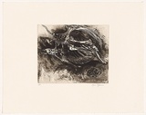 Artist: Gleeson, James. | Title: Untitled [1] | Date: 2004 | Technique: etching and aquatint, printed in sepia ink, from one plate