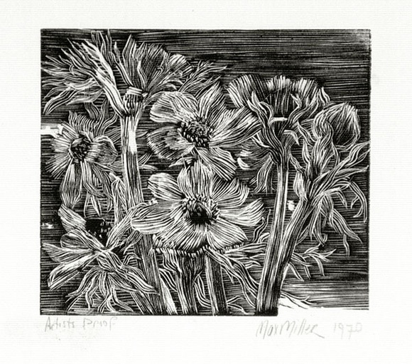 Artist: b'Miller, Max.' | Title: b'Foliage, flowers, daisies' | Date: 1970 | Technique: b'wood-engraving, printed in black ink, from one block'