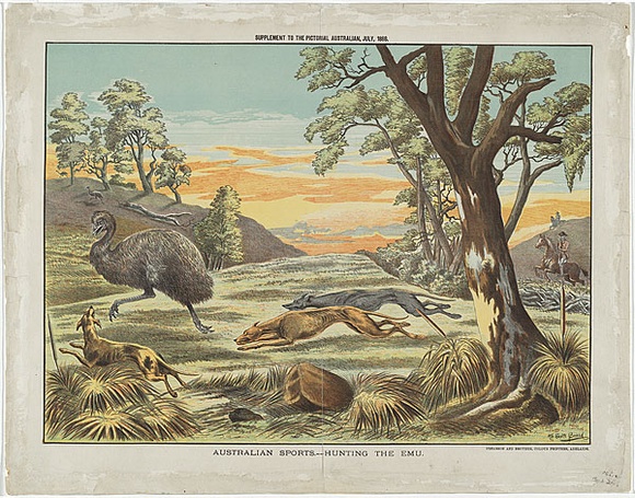 Artist: b'Scott Broad' | Title: b'Australian sports - hunting the emu.' | Date: 1886 | Technique: b'lithograph, printed in colour, from six stones'
