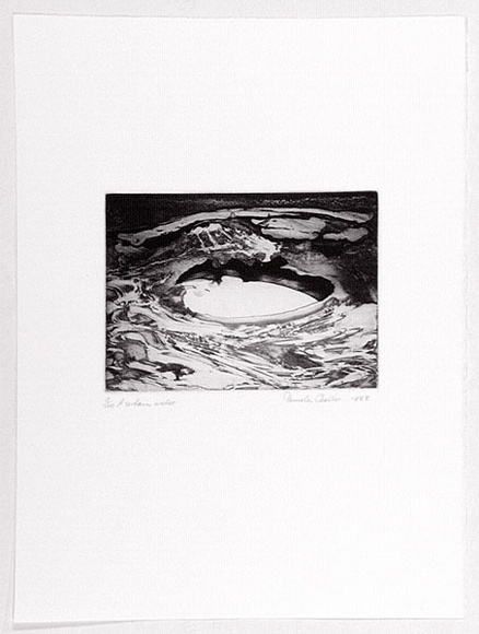 Artist: Challis, Pamela | Title: A certain water. | Date: 1988 | Technique: etching, printed in black ink, from one plate
