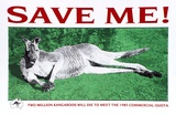 Artist: Praxis Poster Workshop. | Title: Save me! Two million kangaroos will die to meet the 1985 commercial quote | Date: 1985 | Technique: screenprint, printed in colour, from three stencils