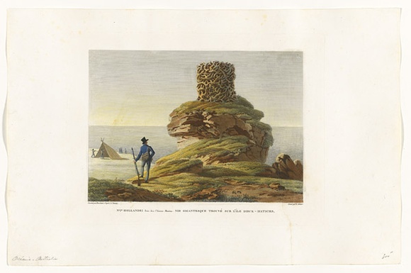 Title: bNlle. Hollande, Baie des Chiens-marins, nid gigantesque trouve sur l'ile Dirck-Hatichs. [New Holland, Bay of Sharks, huge nest found on Dirk Hartog Island.] | Date: 1825 | Technique: b'engraving, printed in black ink, from one copper plate; hand-coloured at a later date'