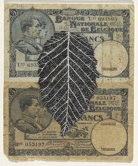 Artist: b'HALL, Fiona' | Title: b'Carpinus betulus - Common hornbeam (Belgian currency)' | Date: 2000 - 2002 | Technique: b'gouache' | Copyright: b'\xc2\xa9 Fiona Hall'