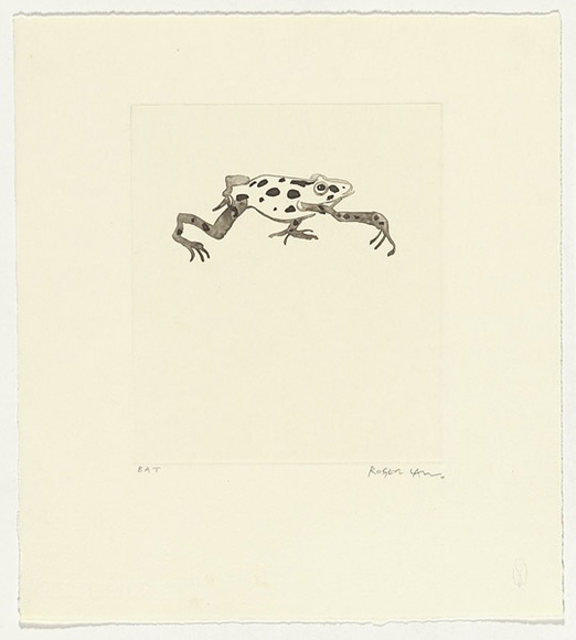 Artist: b'Law, Roger.' | Title: b'Not titled [frog].' | Date: 2004 | Technique: b'aquatint, printed in black ink, from one plate'