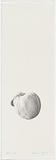 Artist: b'Pilgrim, Catherine.' | Title: b'not titled [peach]' | Date: 1999, February | Technique: b'lithograph, printed in black ink, from one stone'