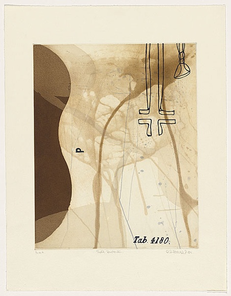 Artist: b'Sharp, Peter.' | Title: b'Soft parts I.' | Date: 2001 | Technique: b'etching and aquatint, printed in colour, from three plates'