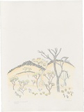 Artist: b'Bradhurst, Jane.' | Title: b'Limestone ridge, relic of ancient seas, Kimberley.' | Date: 1997 | Technique: b'lithograph, printed in black ink, from one stone; hand-coloured in watercolour'