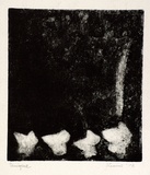 Artist: SHEARER, Mitzi | Title: Variation on a theme | Date: 1978 | Technique: etching, printed in black ink, from one  plate
