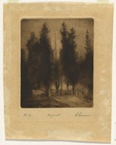 Artist: b'Gruner, Elioth.' | Title: b'The pines.' | Date: 1919 | Technique: b'drypoint, printed in brown ink with plate-tone, from one plate'
