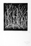 Artist: b'Clifton, Nancy.' | Title: b'Dead forest.' | Date: 1980 | Technique: b'woodcut, printed by hand in black ink, from one block'