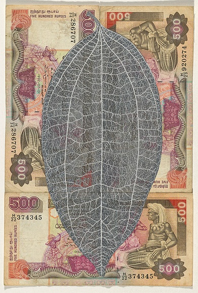 Artist: b'HALL, Fiona' | Title: b'Cinnamomum verum - Cinnamon (Sri Lankan currency)' | Date: 2000 - 2002 | Technique: b'gouache' | Copyright: b'\xc2\xa9 Fiona Hall'