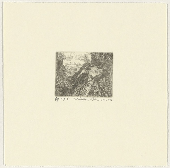 Artist: b'Robinson, William.' | Title: b'Springbrook 5' | Date: 1999 | Technique: b'etching, printed in brown ink, from one plate'