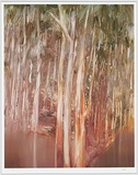 Artist: Nolan, Sidney. | Title: (Trees by a reddish river - 29th Dec 1964). | Technique: offset-lithograph, printed in black ink