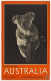 Artist: b'UNKNOWN' | Title: b'Koala, Australia' | Date: (1930s) | Technique: b'photo-lithograph, printed in colour'