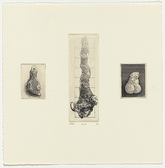 Artist: b'SCHMEISSER, Jorg' | Title: b'4. Lino etching' | Date: 1984 | Technique: b'line-etching, printed in black ink, from one plate' | Copyright: b'\xc2\xa9 J\xc3\xb6rg Schmeisser'