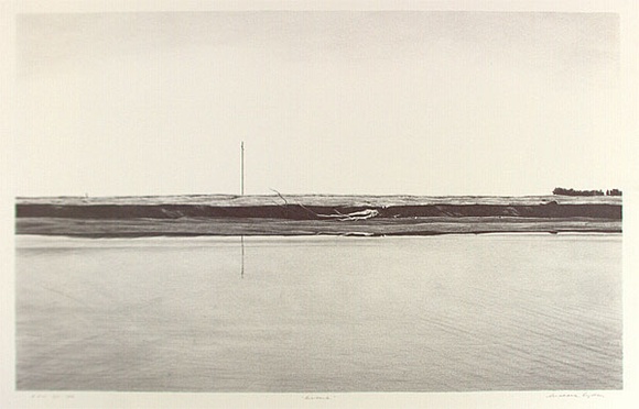 Artist: b'Sydney, Grahame C.' | Title: b'Riverbank' | Date: 1992 | Technique: b'lithograph, printed in black ink, from one stone'