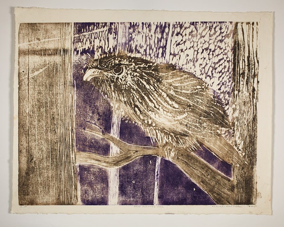 Artist: b'Haxton, Elaine' | Title: b'Frog mouthed owl' | Date: 1966 | Technique: b'woodcut, printed in colour, from multiple blocks'
