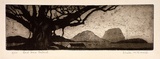 Artist: b'McDonald, Sheila.' | Title: b'Lord Howe Island' | Date: 1932 | Technique: b'aquatint printed in brown'