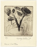 Artist: WALKER, Murray | Title: Several gum trees | Date: 1964 | Technique: drypoint, printed in black ink, from one plate