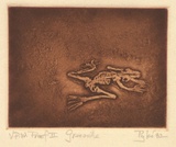 Artist: b'Stuart, Guy.' | Title: b'Grenouille' | Date: 1982 | Technique: b'etching and aquatint, printed in sepia ink, from one plate'