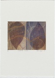 Artist: Wright, Helen. | Title: (Two leaves with water droplets) | Date: 2000 | Technique: digital print, printed in colour, from digital file