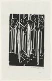 Artist: b'Grey-Smith, Guy' | Title: b'Forest II' | Date: 1975